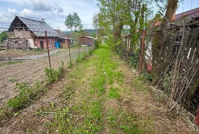 Casă cu 3 camere în Valea Nandrii - 2