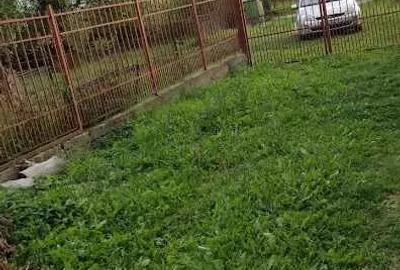 Casă cu 4 camere în Hațeg - 7