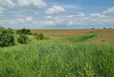 Teren Construcții intravilan de 1400 mp, în Teiu - 2