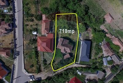 Casa cu gradina de vanzare in Copaceni