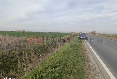 Spațiu comercial, în Săcălaz - 4