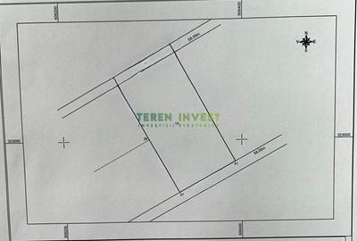 Teren Construcții intravilan de 10000 mp, în Cernica - 6
