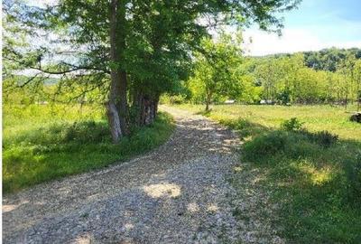 Teren de 1743 mp, în Tisău - 3