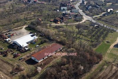 Teren de 6650 mp, în Remetea Chioarului - 1