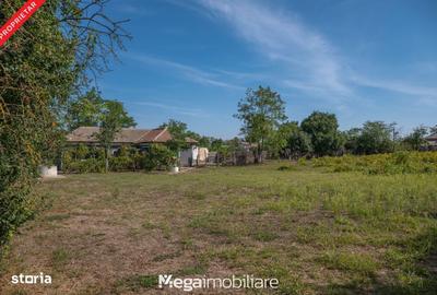 Spațiu comercial, în Potârnichea - 18