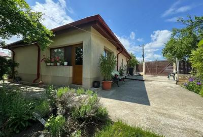 Casă cu 3 camere cu Teren 4000 Mp în Letca Nouă - 3