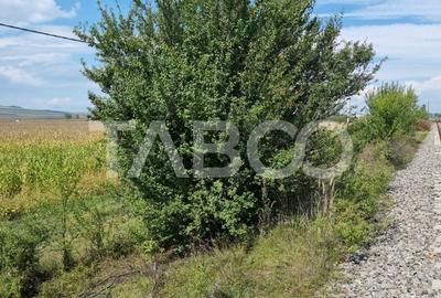 Oportunitate investitie 28000 mp in Sura Mica judetul Sibiu - 3