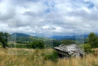 Teren de 4008 mp, în Moieciu