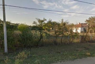 Casă cu 4 camere cu Teren 4426 Mp în Pitulați - 3
