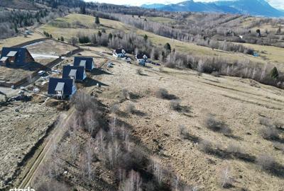 Spațiu comercial, în Sohodol