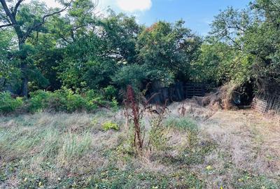 Teren Construcții intravilan de 938 mp, în Chiajna - 7