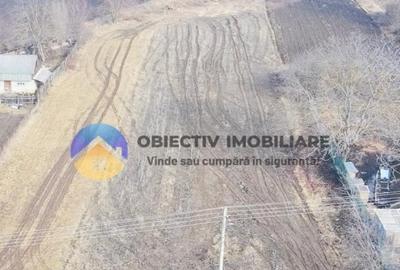 Teren Construcții intravilan de 10515 mp, în Bodești - 11