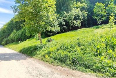 Teren Construcții intravilan de 1000 mp, în Bunloc - 5