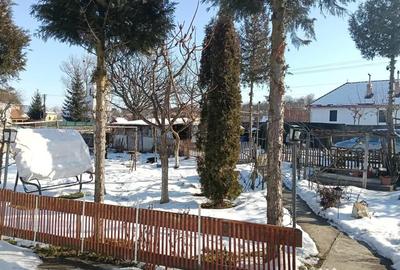 Casă cu 2 camere în Țichindeal - 5