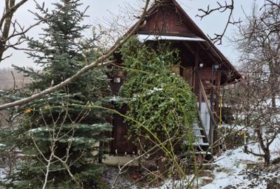 Coas, cabana, 28 ari teren - 5