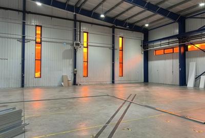 Hala clasa A / Autorizatie ISU /  Ideal productie - 3