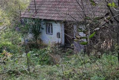 Teren de 11650 mp, în Valea Borcutului - 2