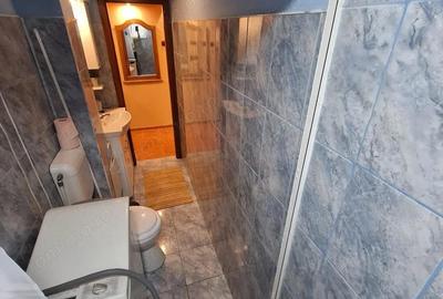 2 camere, etaj 2, modernizat, Sagului - 17