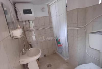 Casa de in Saliste aproape de Transalpina - 15