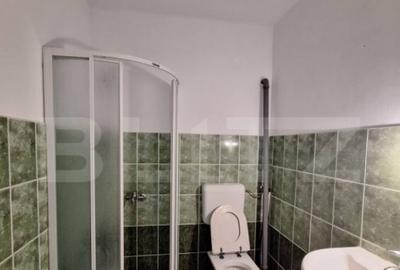 Vila, cazare muncitori, 11-15 camere, 600 mp, zona Mehala-Ti - 5