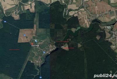 Teren de 4350 mp, în Bălteni - 3