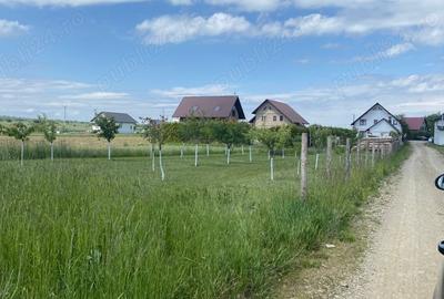 Teren de 1791 mp, în Central - 3