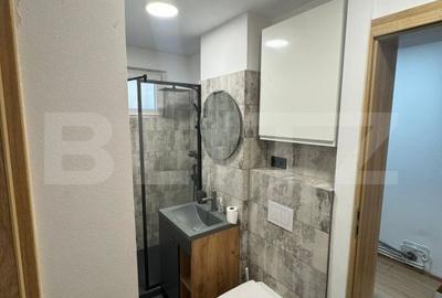 Apartament cu 3 camere semidecomandat în Dâmbu Pietros - 5