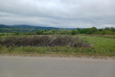 Teren de 5000 mp, în Țigăneștii de Criș - 2