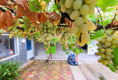 Casă individuală cu 4 camere cu Teren 95 Mp în Buziaș - 3