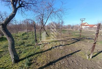 Casă cu 5 camere cu Teren 2158 Mp în Freidorf - 10