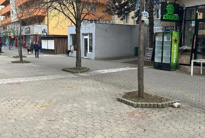 Spațiu comercial, de 12 mp, în Cetate - 3