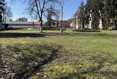 Teren investiție, de 5,000 mp, în Calea Plevnei - 8