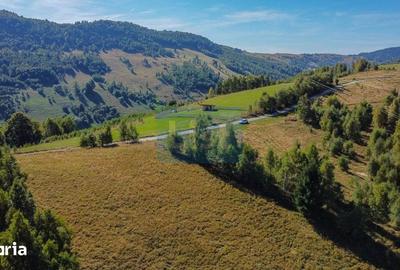 Teren de 1000 mp, în Băișoara - 1