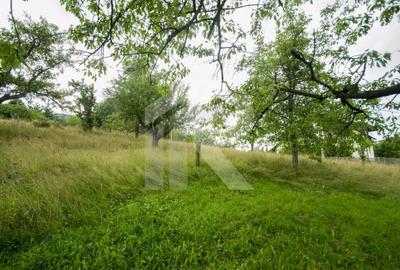 Teren investitie Bran - Predelut, la 2 km de Castelul Bran - 3