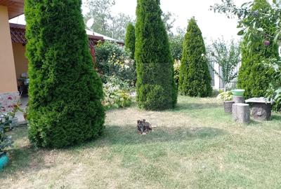 Casă individuală cu 3 camere cu Canalizare în Hănțești - 24