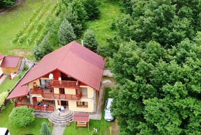 Oferta casa de vacanta P+1+M cu 1700mp teren, in Gura Raului - 5