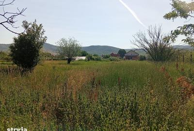 Teren de 1823 mp, în Șiria - 5
