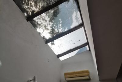 Dorobanți - Office Duplex ( Private yard ) - 12