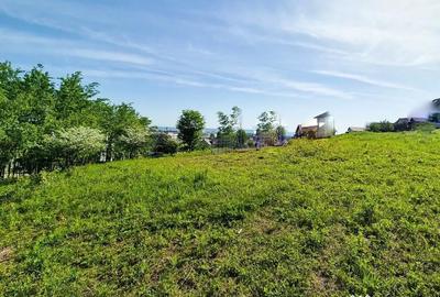Teren de 500 mp, în Trivale - 3