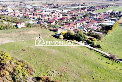 Teren 2.200 mp puz aprobat 36.euro mp - 3