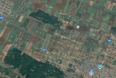 Teren extravilan, loc Densa, Jud Dolj - 3