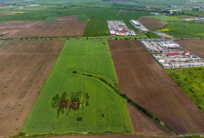 Teren intravilan cu PUZ aprobat in zona de centura Nord - 4