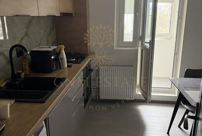 Apartament cu 2 camere decomandat, mobilat în Gorjului - 4