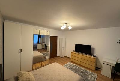 Garsonieră semidecomandată în Dristor - 2