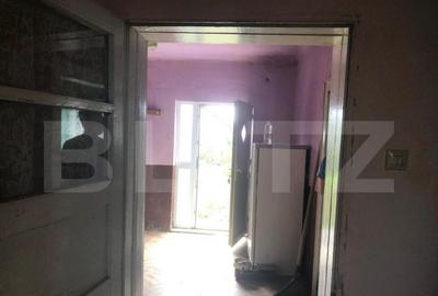 Casa Odoreu , Judetul Satu Mare - 6