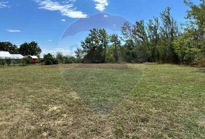 Teren Intravilan - Constructie 2,494mp Habud / DJ 101G - 8