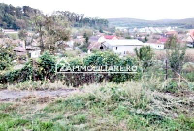 De vanzare 2 case cu 4.900 mp teren, Livezeni 0% comision - 11