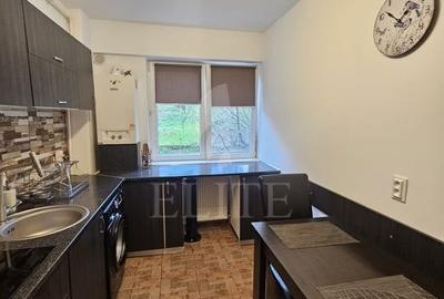 Apartament 2 camere în zona Vivo - 11