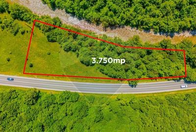 Teren intravilan de 3750 mp, în Brădet - 2