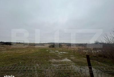 Teren de 1716 mp, în Priseaca